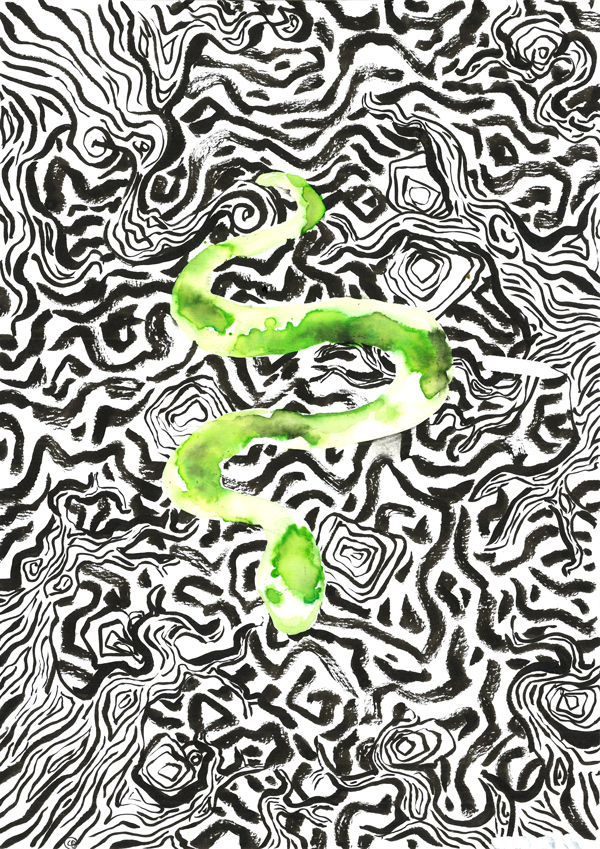 Illustration : la silhouette sinueuse d'un serpent vert sur un fond de terre aux motifs stylisés à l'encre noire