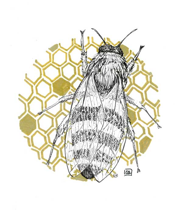 Illustration réaliste noire et dorée d'une abeille devant des motifs décoratifs