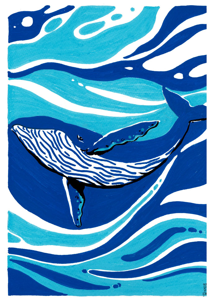 La baleine et le chant des vagues